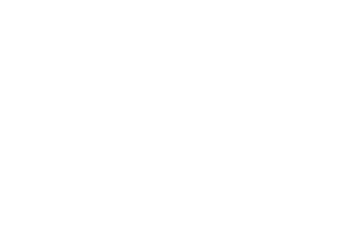 Northstar Talent